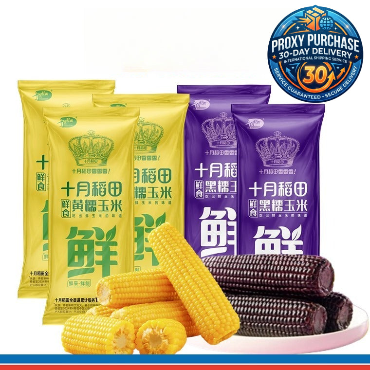 Shiyue Daotian Glutinous Sticky Corn 十月稻田糯玉米3pcs