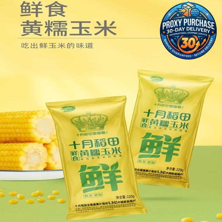 Shiyue Daotian Glutinous Sticky Corn 十月稻田糯玉米3pcs