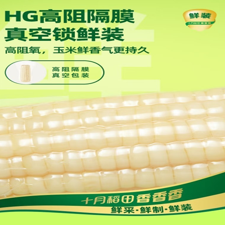 Shiyue Daotian Glutinous Sticky Corn 十月稻田糯玉米3pcs