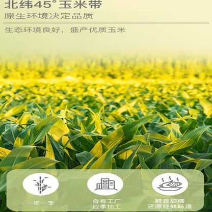 Shiyue Daotian Glutinous Sticky Corn 十月稻田糯玉米3pcs