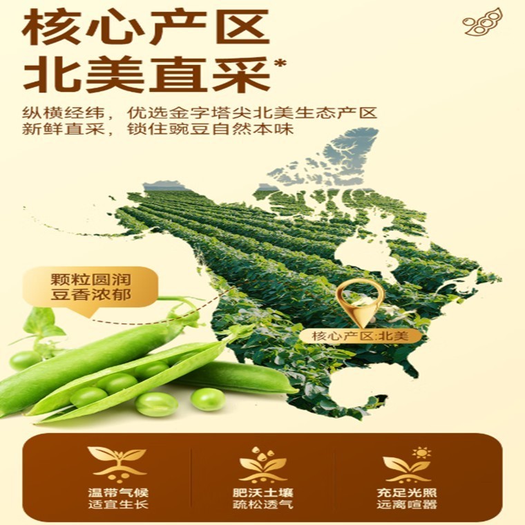 Gan Yuan Peas - 甘源青豌豆 75/285克