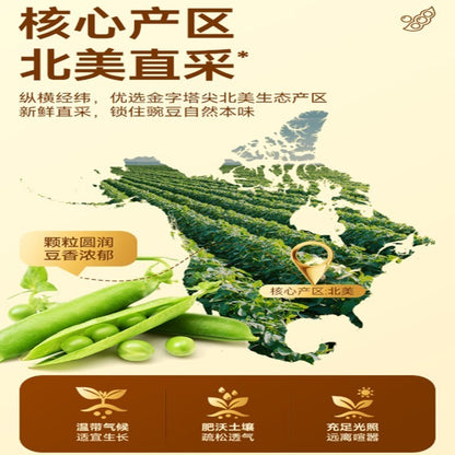 Gan Yuan Peas - 甘源青豌豆 75/285克